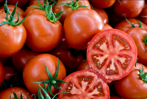 Die Ernte der Samen ihrer Tomaten. Schritt für Schritt-Anleitung
