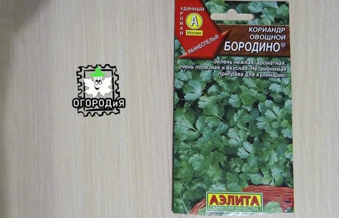 Bag von Koriandersamen Gemüse Borodino