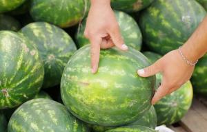 Was zu suchen, wenn eine Wassermelone Wahl? 5 wichtige Tipps