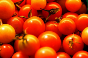 Nützliche Wunder Dünger für Tomaten aus einer Brennnessel