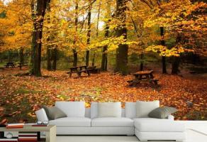 5 unglaublich schöne Lösungen, um die Wände zu Hause oder Tapete mit Herbstmotiv dekorieren, die Sie sich verlieben machen
