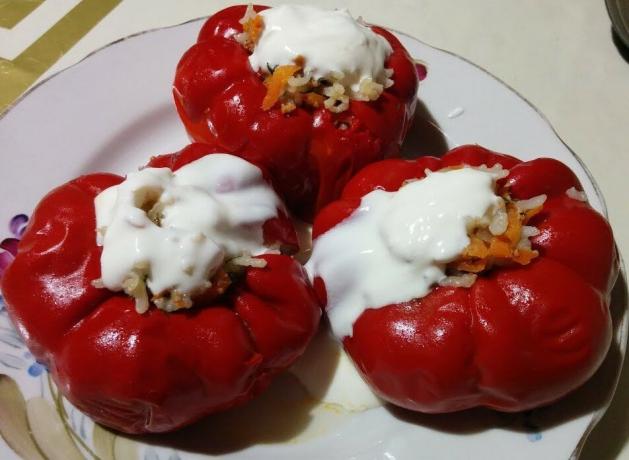 gefüllte Paprika-Sorten „Gogoshary“