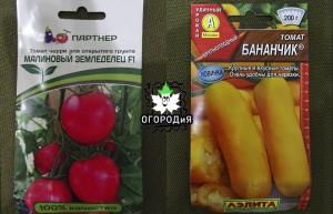 Ehe Sorten und Hybriden von Tomaten