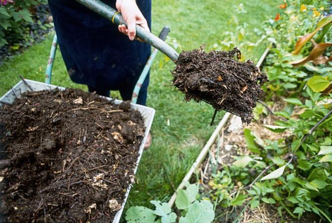 Nadeln für Kompost | Garten & Gartenbau