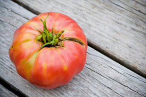 Wachsen köstlich und eine gute Tomaten auf Betten