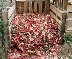 Wo Sie nutzbringend abgefallene Blätter im Herbst verwenden.