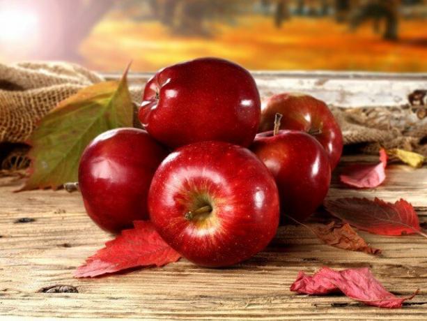 Was sind die Vorteile von Äpfeln und können sie dem Körper schaden?