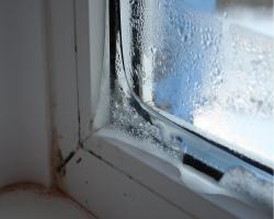Kunststoff-Fenster „Schrei“, warum die Kondensation an den Fensterrahmen und was zu tun ist