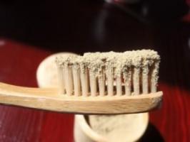 Die nützlichen Zahnpulver, Eigenschaften und Anwendungen