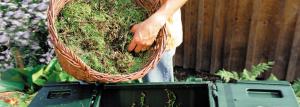 Sechs Regeln guten Kompost