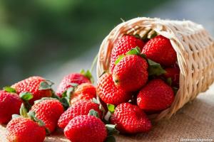 Der Nähe, was Kulturen können nicht Erdbeeren gepflanzt werden