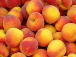 Wie nützlich Pfirsiche für den Körper, die Eigenschaften und Gegenanzeigen
