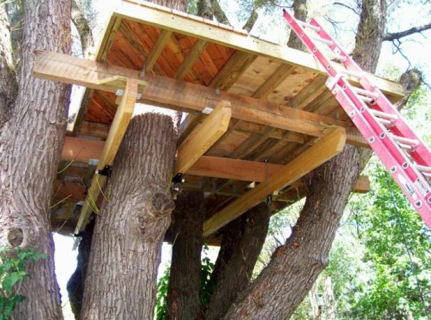 Der Bau des Baumhauses beginnt mit einer Stützanordnung