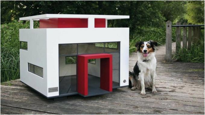 Häuschen für die Hunde in High-Tech-Stil