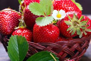 Die Erdbeere ist nützlich für den Organismus