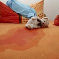 Der Geruch der Harnausscheidung Kinder von der Couch und Teppich