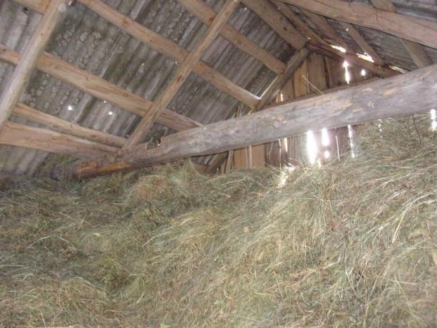 Hay Schuppen fast unter dem Dach mit Heu gefüllt für Ziegen.
