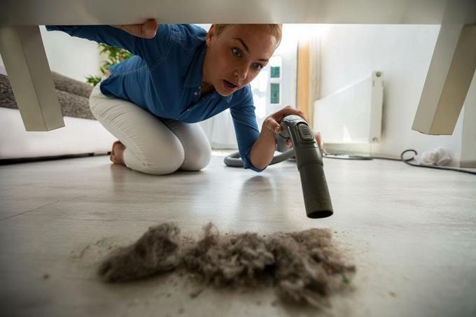 Wie der Staub in der Wohnung entfernen?