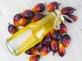 Was sind die guten und schlechten Eigenschaften Palmöl haben