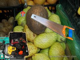 Warum Menschen grundsätzlich kein Werkzeug kaufen Nachbar ließ die Säge die Kokosnuss schneiden