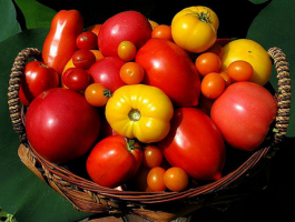 Top 8 Sorten von Tomaten, die oft die Käufer fragen Geschäft in Garten