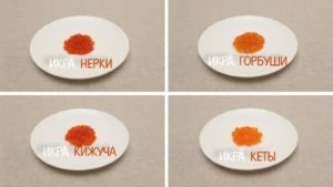 Wie nützlich roter Kaviar und wie sie gespeichert werden