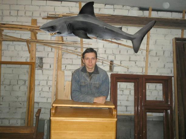 Shark wird von den Service Yandex-Bilder aufgenommen