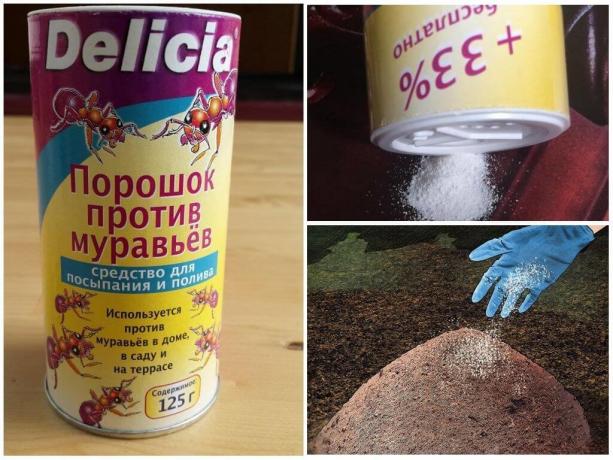 Delicia Pulver von Ameisen, die Kosten pro 500 g, mehr als 600 Rubel.