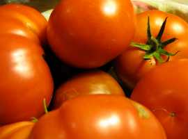 Zazhirovali Tomaten im Gewächshaus. Was zu tun ist?