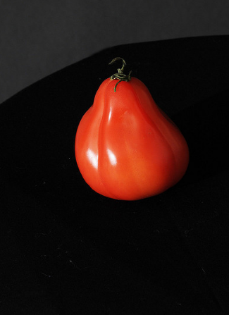 Die Vielfalt der Tomate „Puzata Hütte“