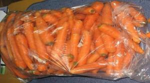 Wie bis zur nächsten Ernte in einer Plastiktüte Karotten zu halten.