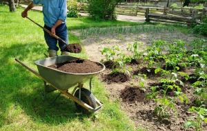 Organischer Dünger im Garten: 5 beste ohne Chemie