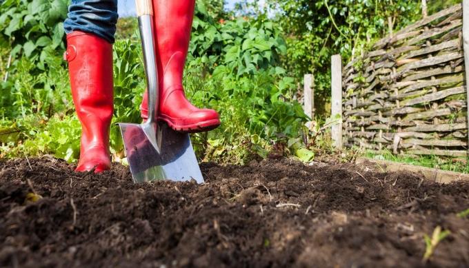 Nutzen und Schaden von den Boden im Bereich Graben | Garten & Gartenbau