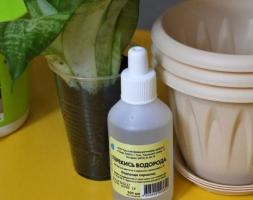 Stealth Blumenhändler: Wasserstoffperoxid für Sämlinge und Zimmerpflanzen