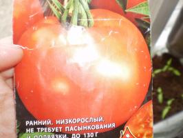 Sow Reifung früh Tomaten Anfang April. 7 beliebte Sorten