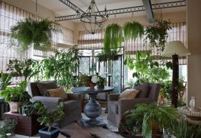 Wie originell und geschmackvoll Ihre Zimmerpflanzen, so dass das Innere der unvergesslichen Zimmer dekorieren. 6 Design-Ideen