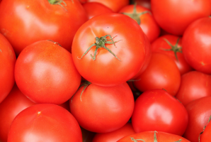 Wie im Jahr 2019 Tomaten wählen?