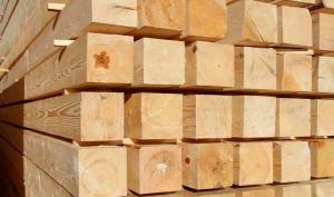Kauf von Holz für das Bad und Such-Assistenten. Tipps