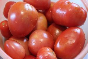 5 Überblick über Sorten von großen und fleischigen Tomaten. Die besten Noten
