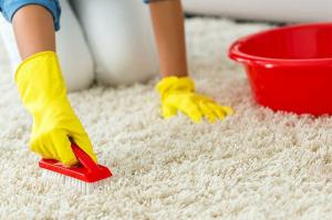 Sauberer Teppich ohne Chemie. Maximale Einsparungen ...